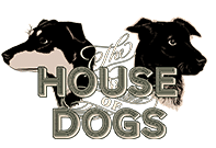 The House of Dogs Pet Photography